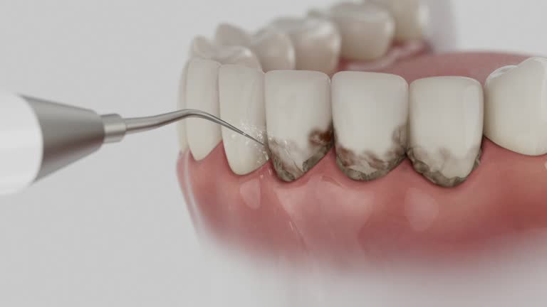 Reliable Dental contractor in Fort Clark Springs, TX by Dentist Open Now